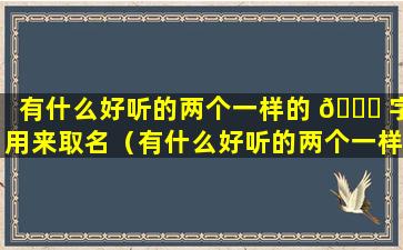 有什么好听的两个一样的 🐝 字用来取名（有什么好听的两个一样的字用来取名女孩）